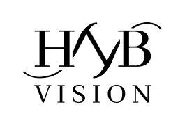 HNB Vision logo