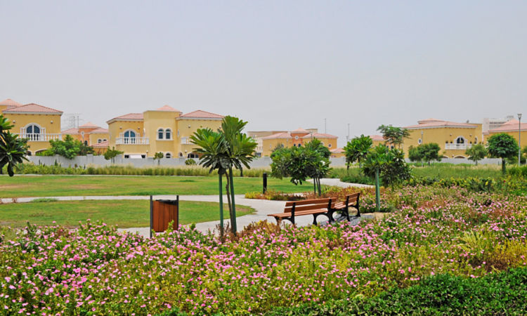 Properties for Sale in Jumeirah Park | List of Offplan Project in Jumeirah Park