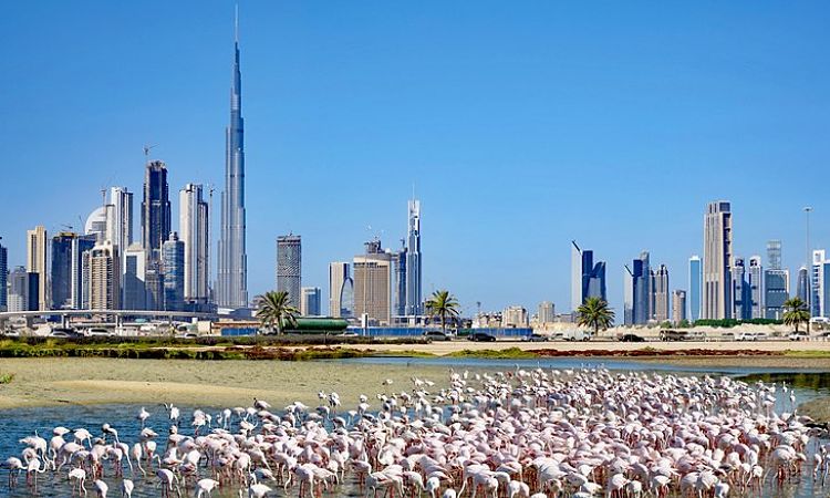 Dubai one of the most attractive tourist destinations