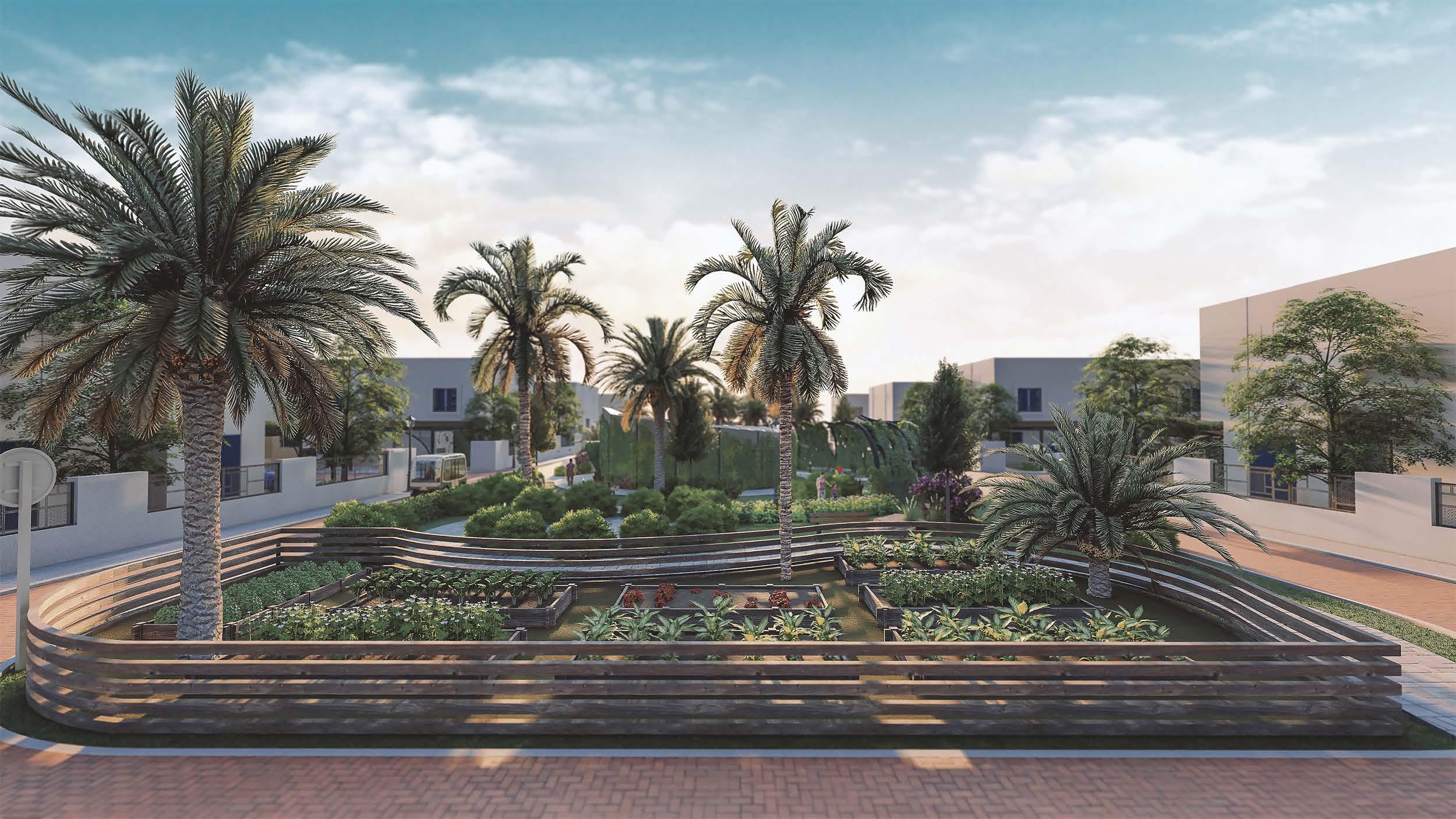 SSC Villas at Sharjah Sustainable City - Open Spaces