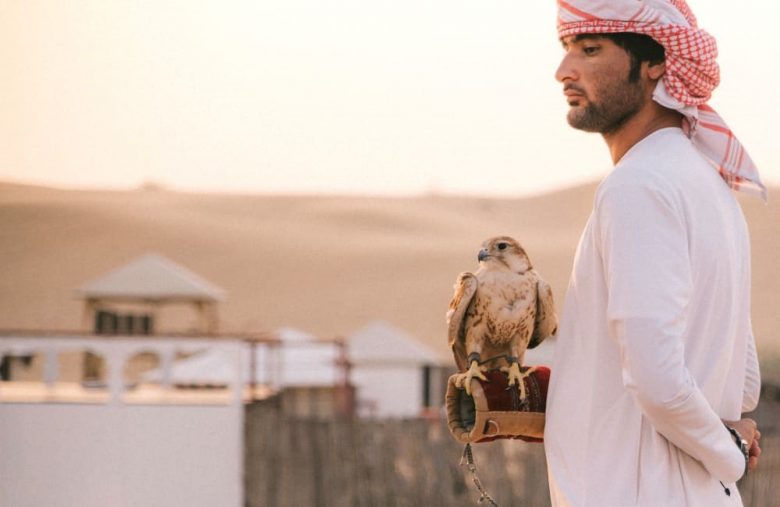 Dubai Falcon 