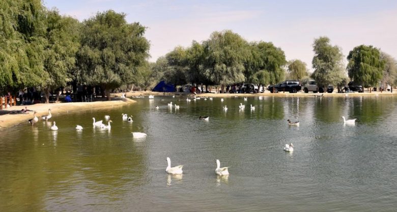 10 Most Instagrammable Places In Dubai