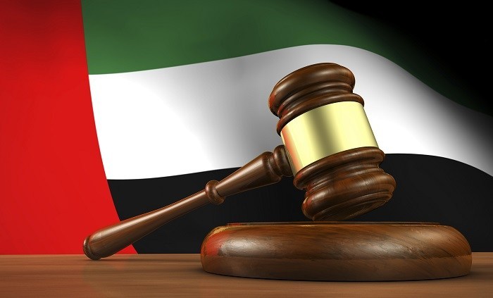 Law No. (7) Of 2013 Concerning The Land Department (1) Article (11-16)