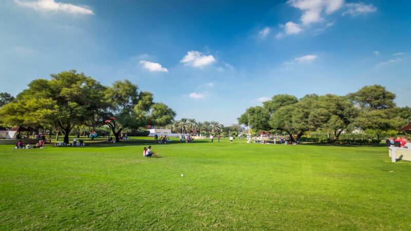 ۱۱ مورد از بهترین پارک های رایگان با مناطق بازی روباز برای کودکان در دبی