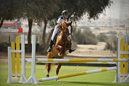 Top 12 Places for Horse Riding lessons in Dubai