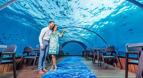 Top-notch Underwater Restaurants in Dubai