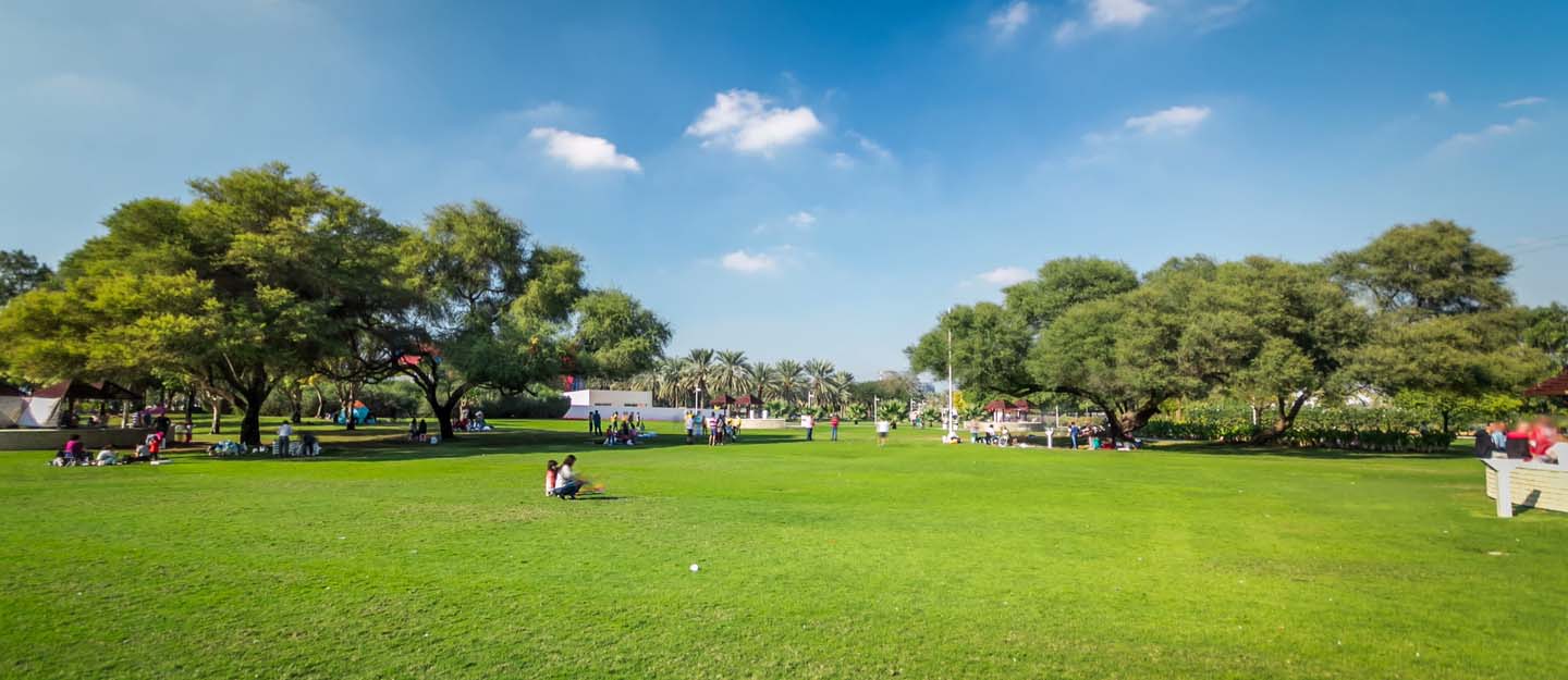 12 تا از بهترین کارهایی که در اولین بازدید خود از کریک پارک دبی باید انجام دهید