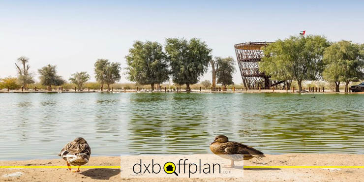 Things to Do at Al Qudra in Dubai