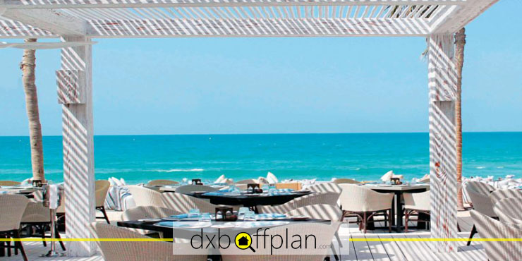 Enjoy a Meal at Dubai's Seaside Diners