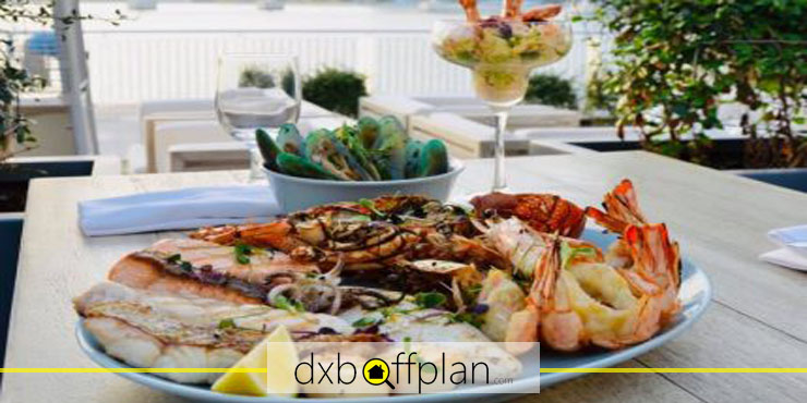 Seafood Kitchen, have a Great Experience at One of the Top Seafood Restaurants in Dubai