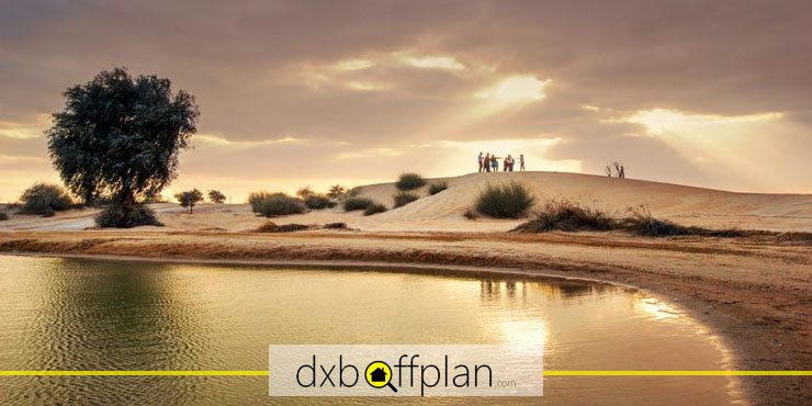 Spectacular Sunset over the Desert Oasis at Dubai's Al Qudra