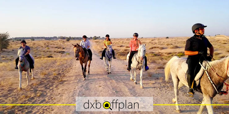 Al Jiyad Stables, an Old Riding School in Dubai