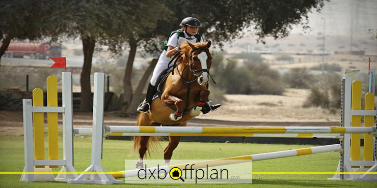 Desert Palm Equestrian Center