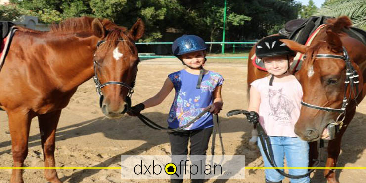 Dubai City Stable, One of the Best Riding Schools in Dubai