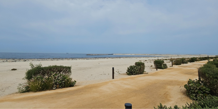 Plots for Sale in Dubai Islands