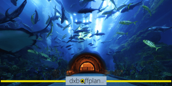 Dubai Underwater Aquarium and Underwater Zoo