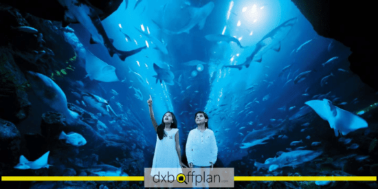 Dubai Underwater Aquarium Location and Tickets