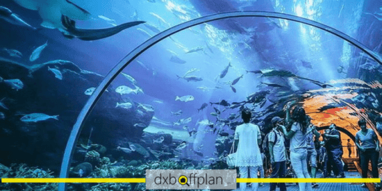 Dubai Aquarium and Underwater Zoo Accessibility