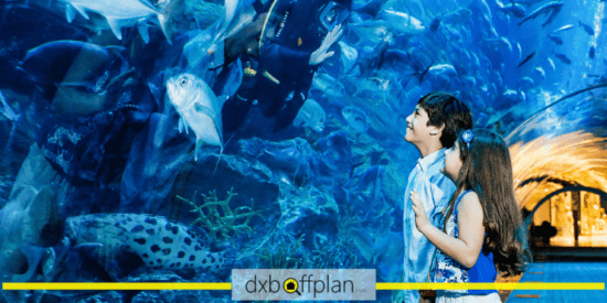 Health and Safety Considerations at the Dubai Aquarium and Underwater Zoo