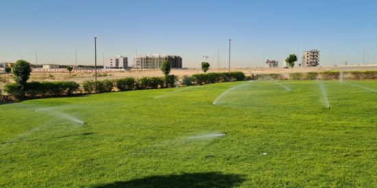 Commercial Plot for Sale in Liwan Phase 1 | Office Tower Development in Dubai