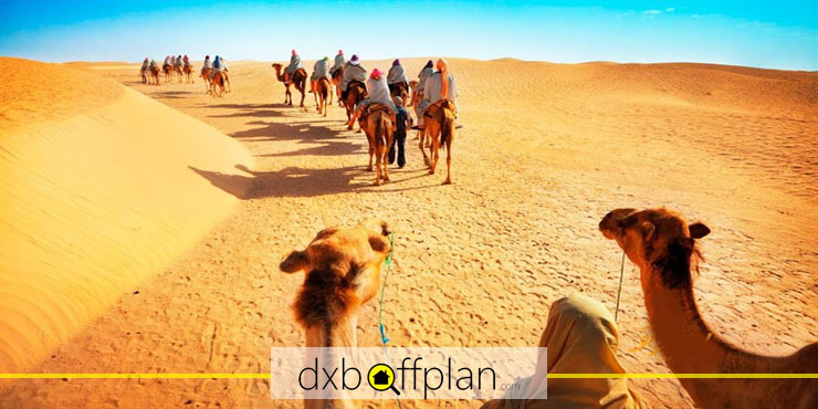 سافاری در کویر و شترسواری در صحرا