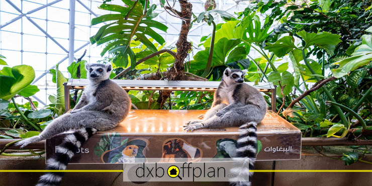 تنوع گیاهی و جانوری