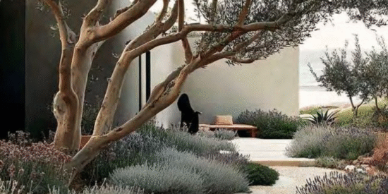 Keturah Ardh Townhouse Plots in Dubai