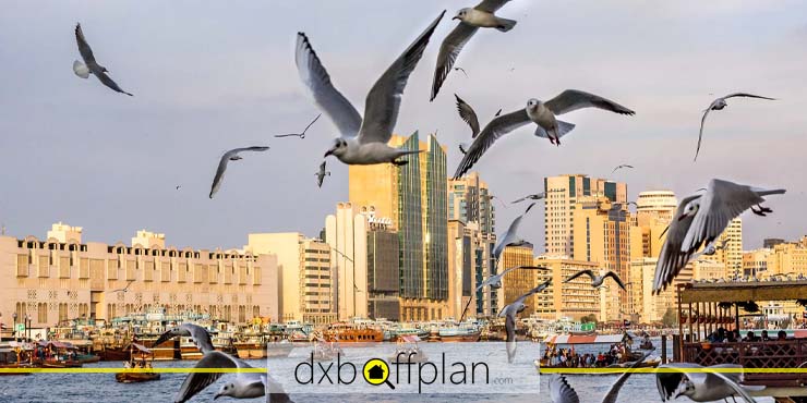 جاذبه های گردشگری دیره دبی