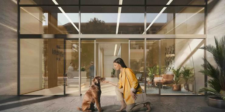 Grove Gallery Views at Saadiyat Island, Abu Dhabi