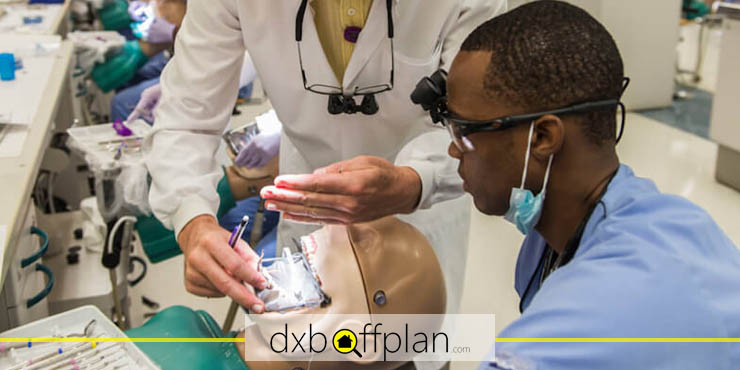 کار دانشجویی دندانپزشکی در امارات در طول تحصیل