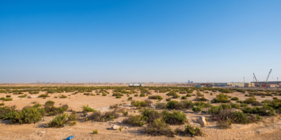 Industrial Land for Lease in Al Layyan 1